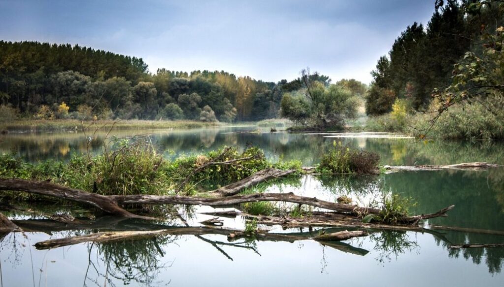 Vores decentrale fremtid