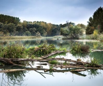 Vores decentrale fremtid