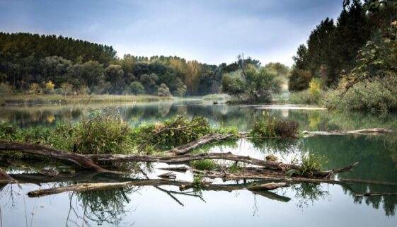 Vores decentrale fremtid