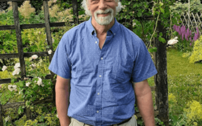 Tilbageblik fra 2035