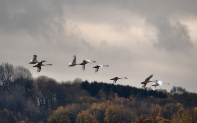 We’re fucked. Life is good