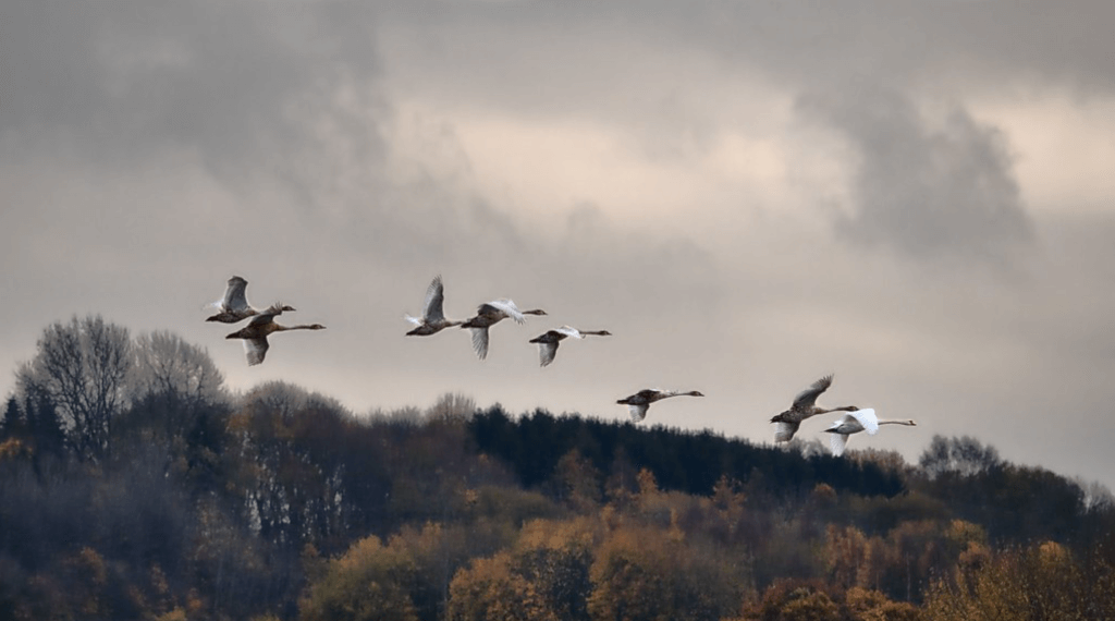 were-fucked-life-is-good