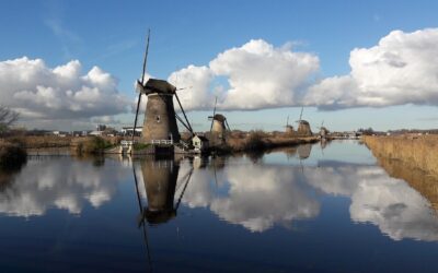 Systemer vi forstår